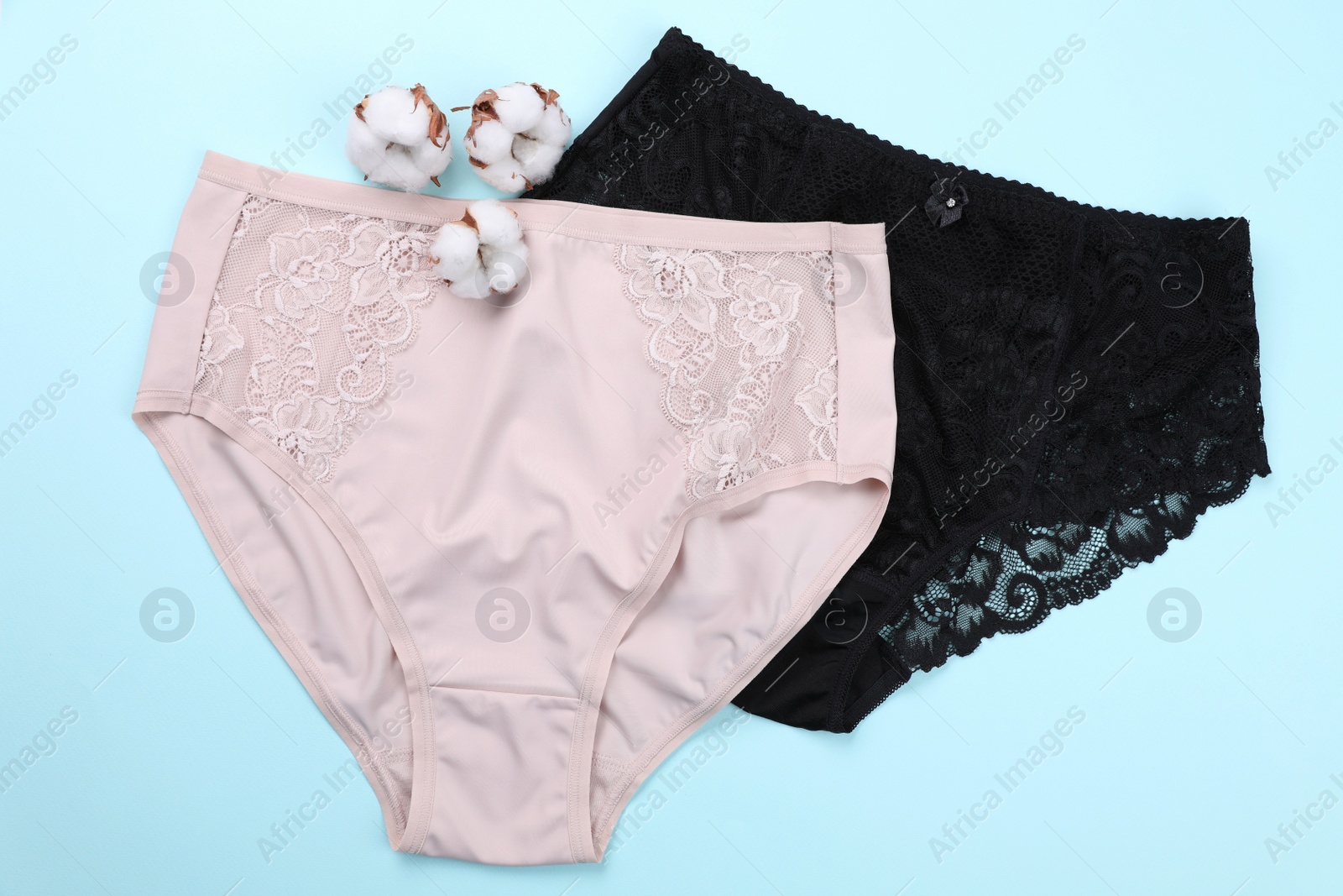 Photo of Elegant plus size women's underwear and fluffy cotton flowers on light blue background, flat lay