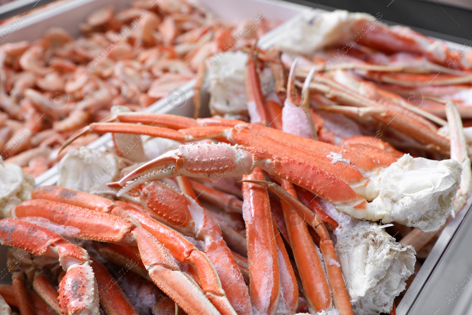 Photo of Fresh pieces of crabs on display. Wholesale market