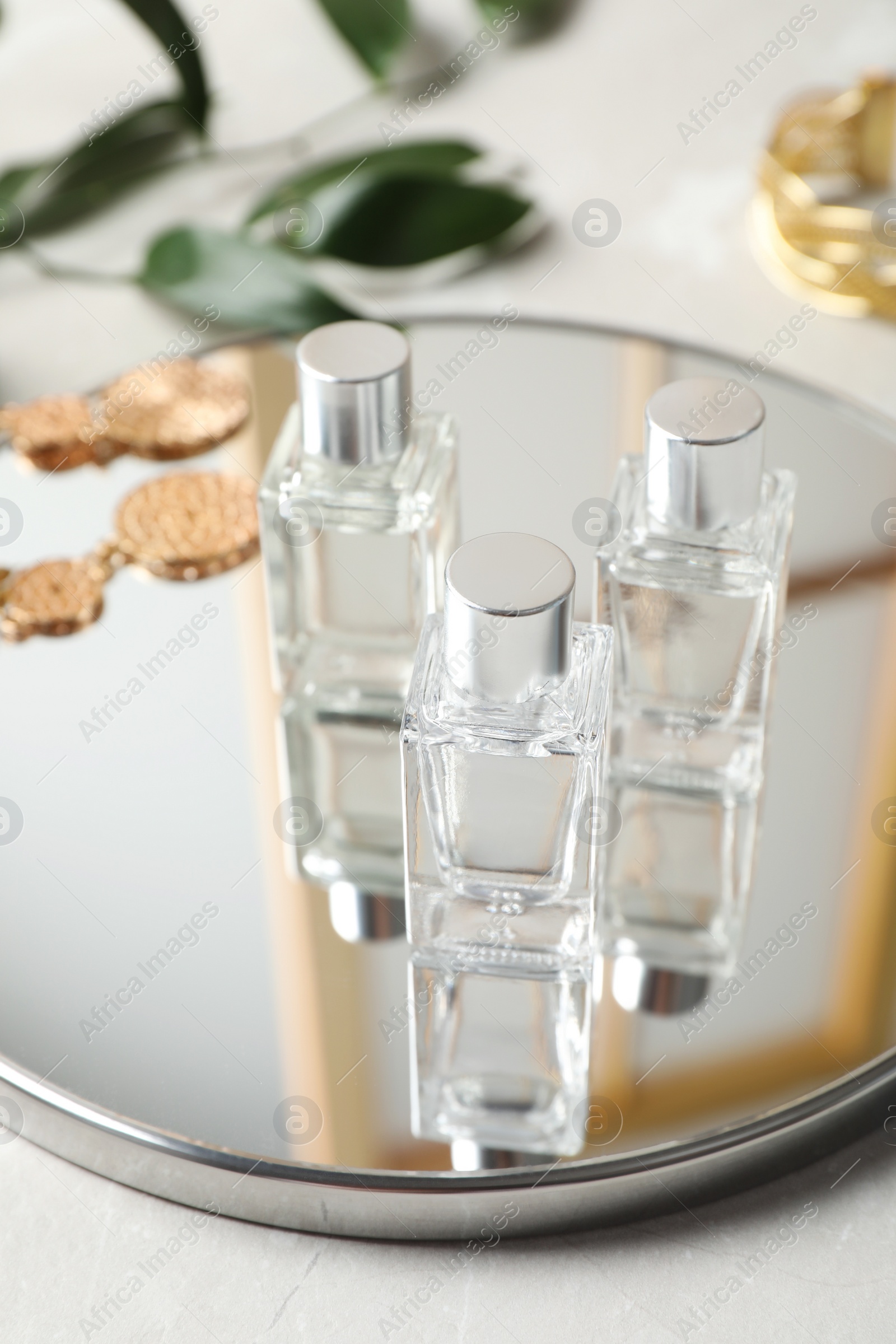 Photo of Bottles of essential oil and mirror on light grey table, closeup