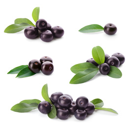 Image of Set of fresh acai berries with green leaves on white background