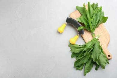 Fresh green sorrel leaves and mezzaluna knife on light grey table, flat lay. Space for text