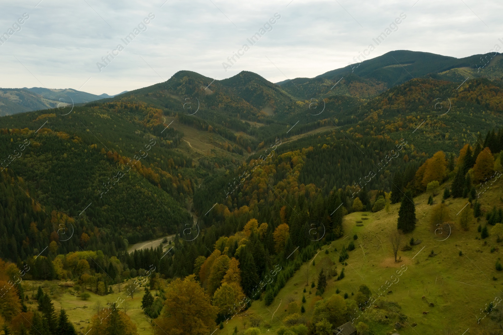 Image of Aerial view of beautiful mountain forest on autumn day