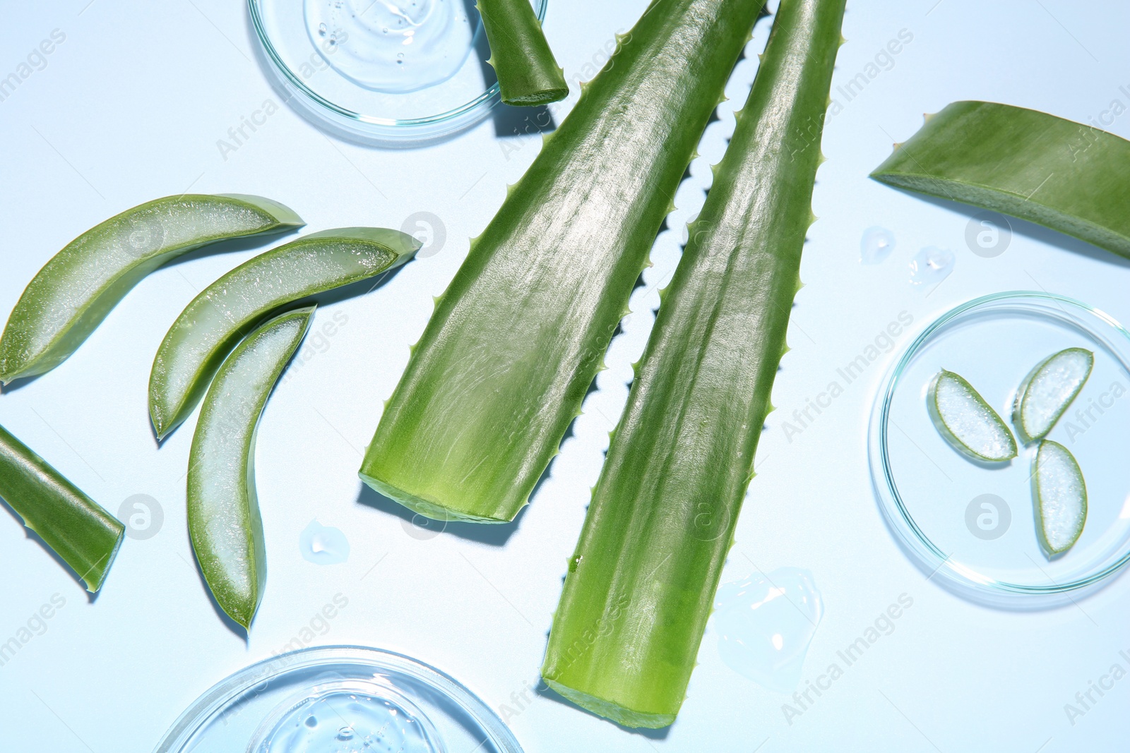 Photo of Cut aloe vera and cosmetic gel on light blue background, flat lay
