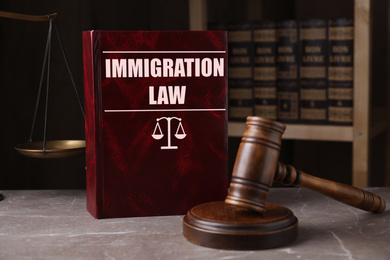 Immigration law book and gavel on grey marble table