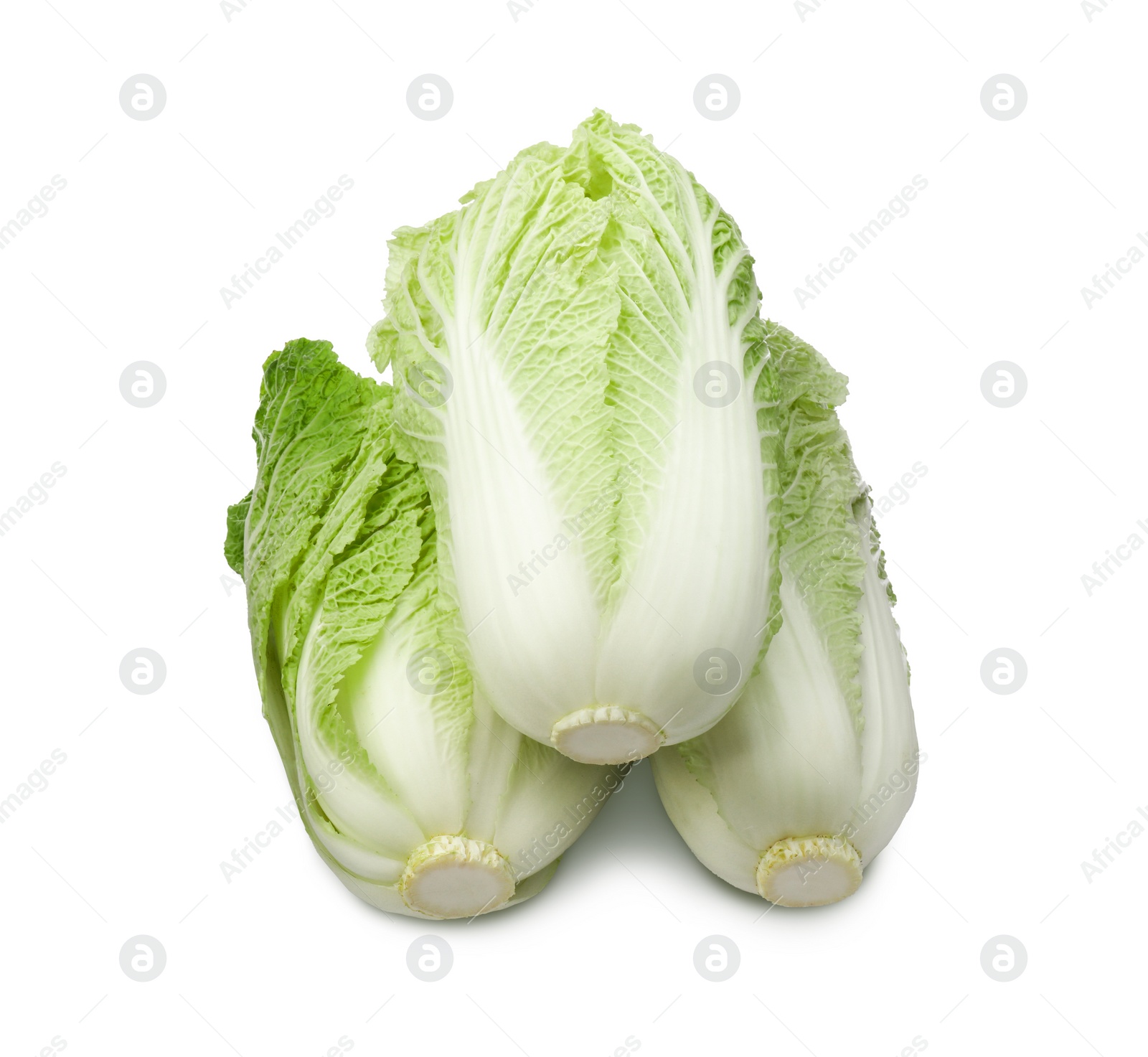 Photo of Fresh tasty Chinese cabbages on white background