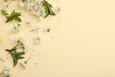 Photo of Beautiful spring tree blossoms and petals on beige background, flat lay. Space for text