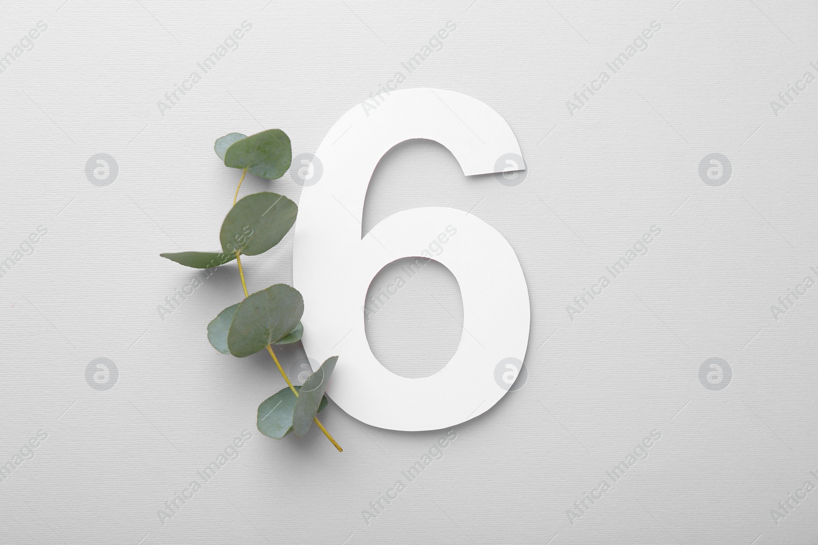 Photo of Paper number 6 and eucalyptus branch on light grey background, top view