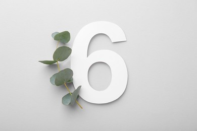 Paper number 6 and eucalyptus branch on light grey background, top view