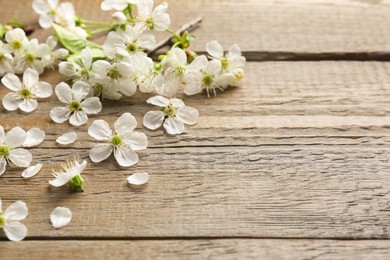 Photo of Spring branch with beautiful blossoms and petals on wooden table, closeup. Space for text