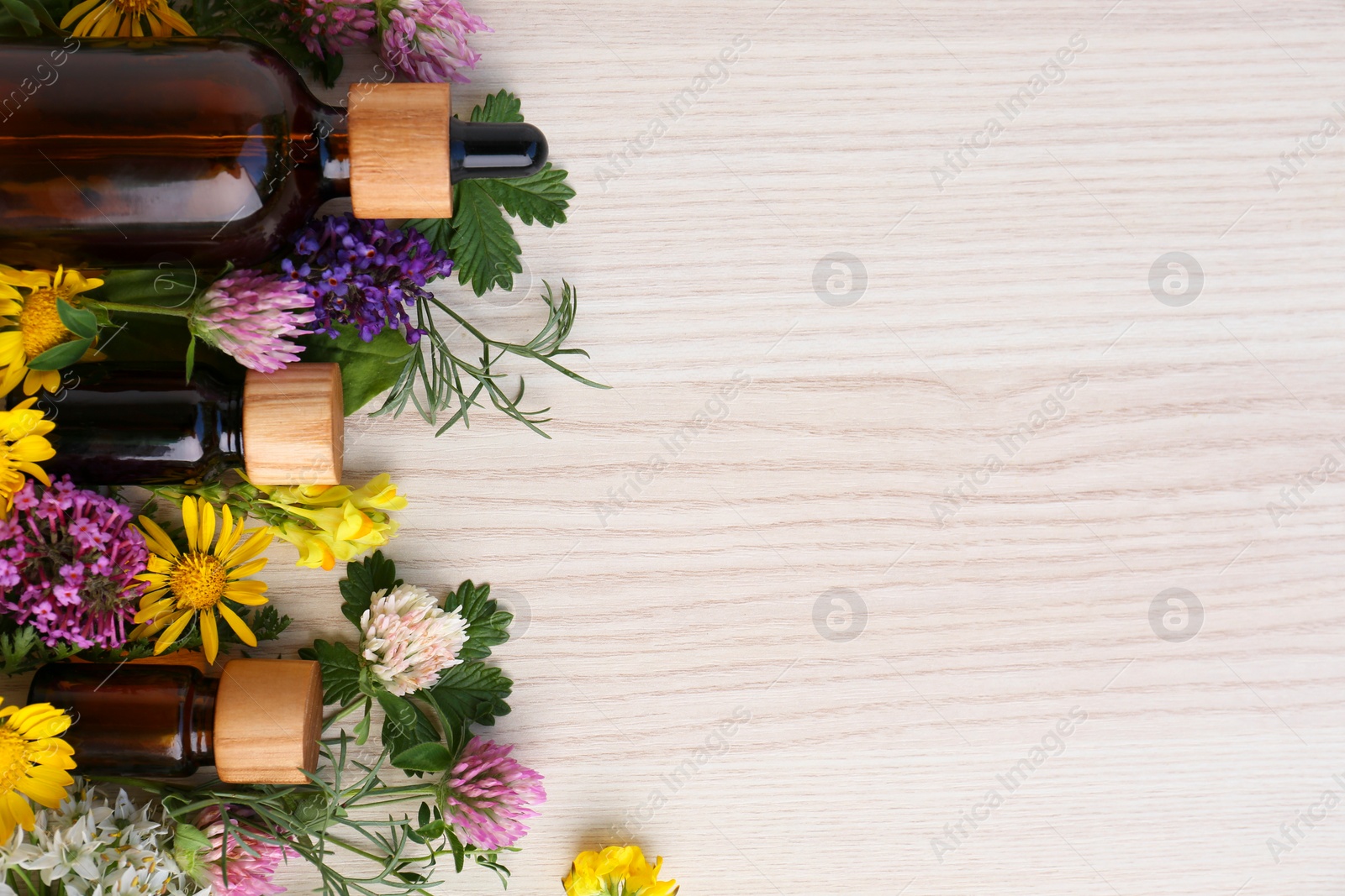 Photo of Flat lay composition with essential oil, flowers and herbs on white wooden table. Space for text