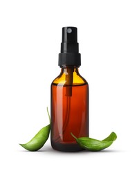 Image of Bottle of basil essential oil and green leaves on white background