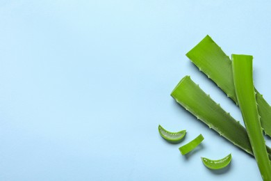 Photo of Cut aloe vera leaves on light blue background, flat lay. Space for text