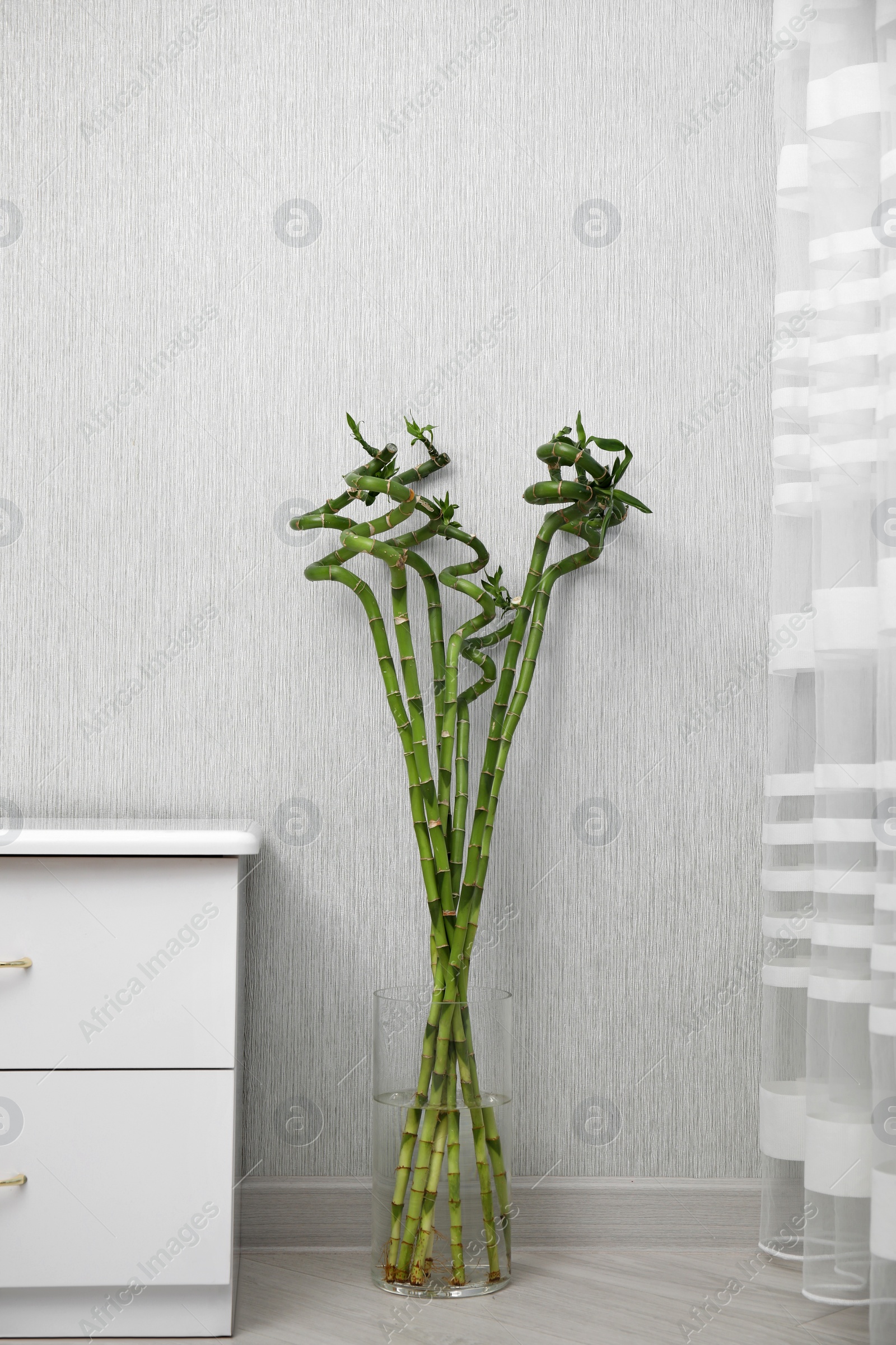 Photo of Vase with beautiful green bamboo stems on floor indoors