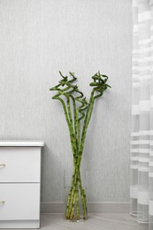 Photo of Vase with beautiful green bamboo stems on floor indoors