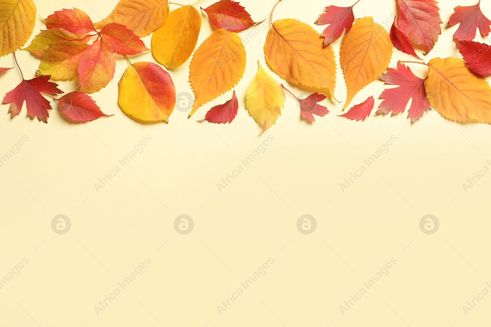 Photo of Flat lay composition with autumn leaves and space for text on color background