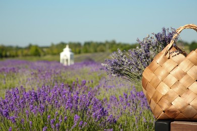 Photo of Wicker bag with beautiful lavender flowers on wooden surface in field, space for text
