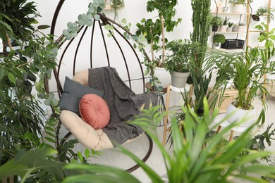 Photo of Comfortable egg chair and beautiful houseplants in room. Lounge zone interior