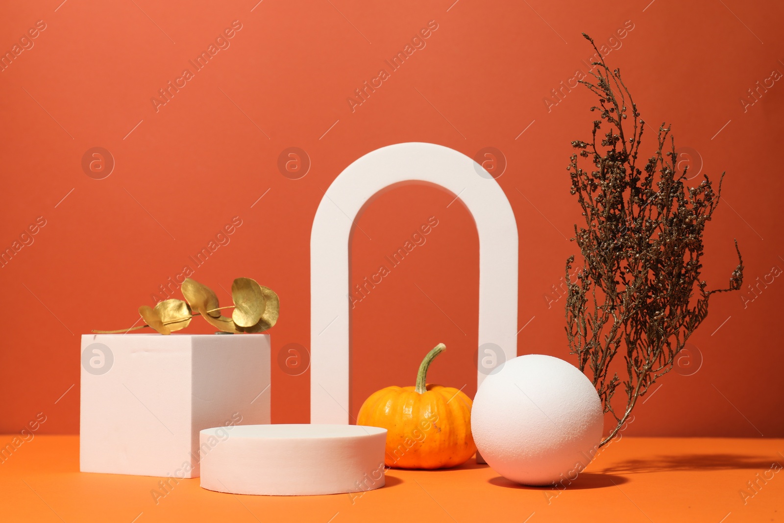 Photo of Autumn presentation for product. Geometric figures and decorative elements on color background