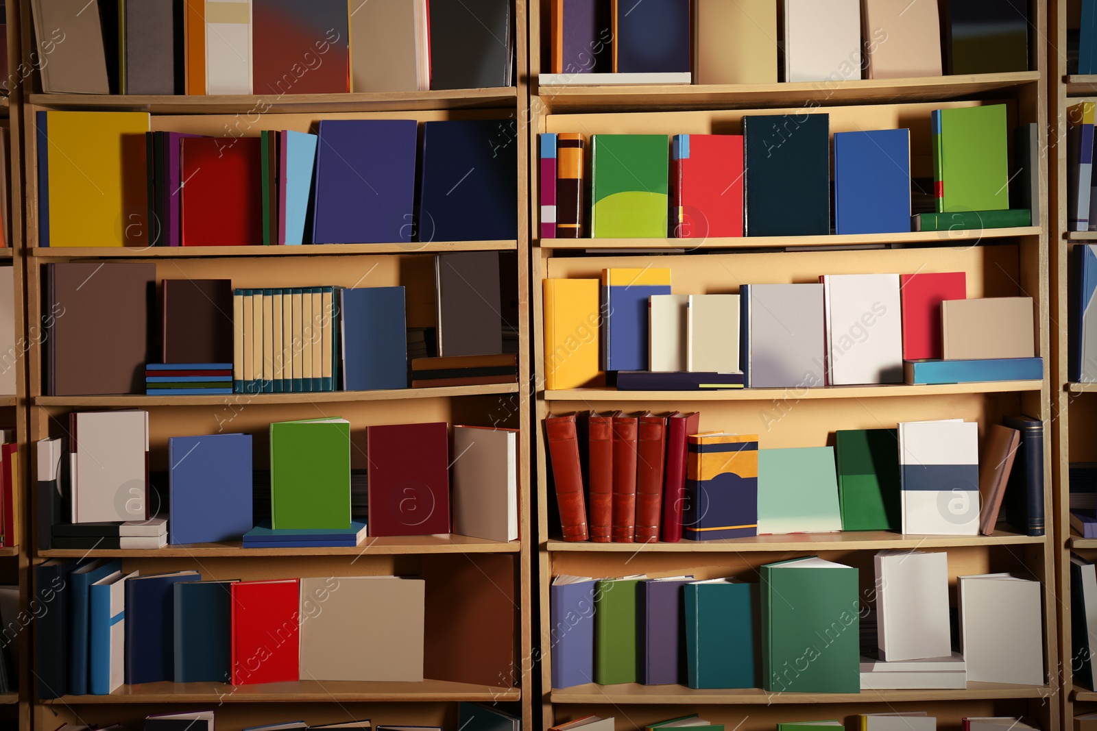 Image of Shelves with different library books as background