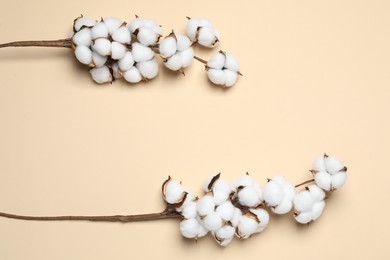 Beautiful cotton branches with fluffy flowers on beige background, flat lay. Space for text