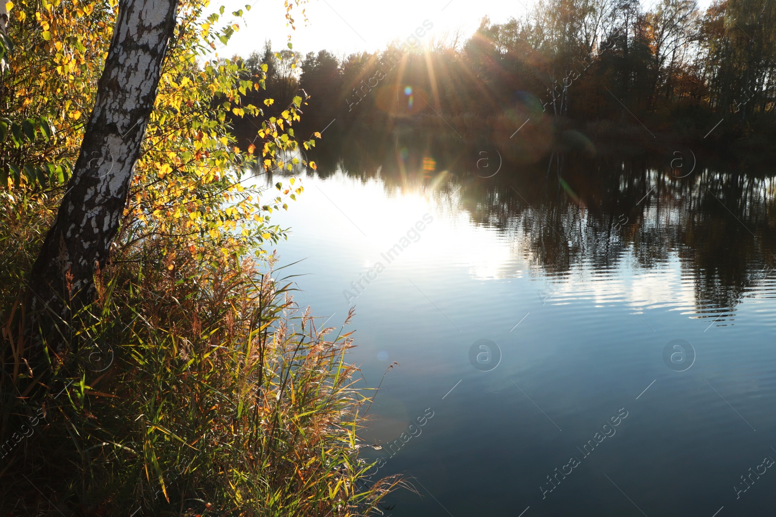 Photo of Beautiful view of lake and trees on autumn day