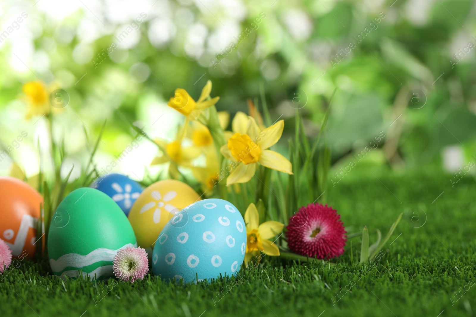 Photo of Colorful Easter eggs and flowers in green grass. Space for text