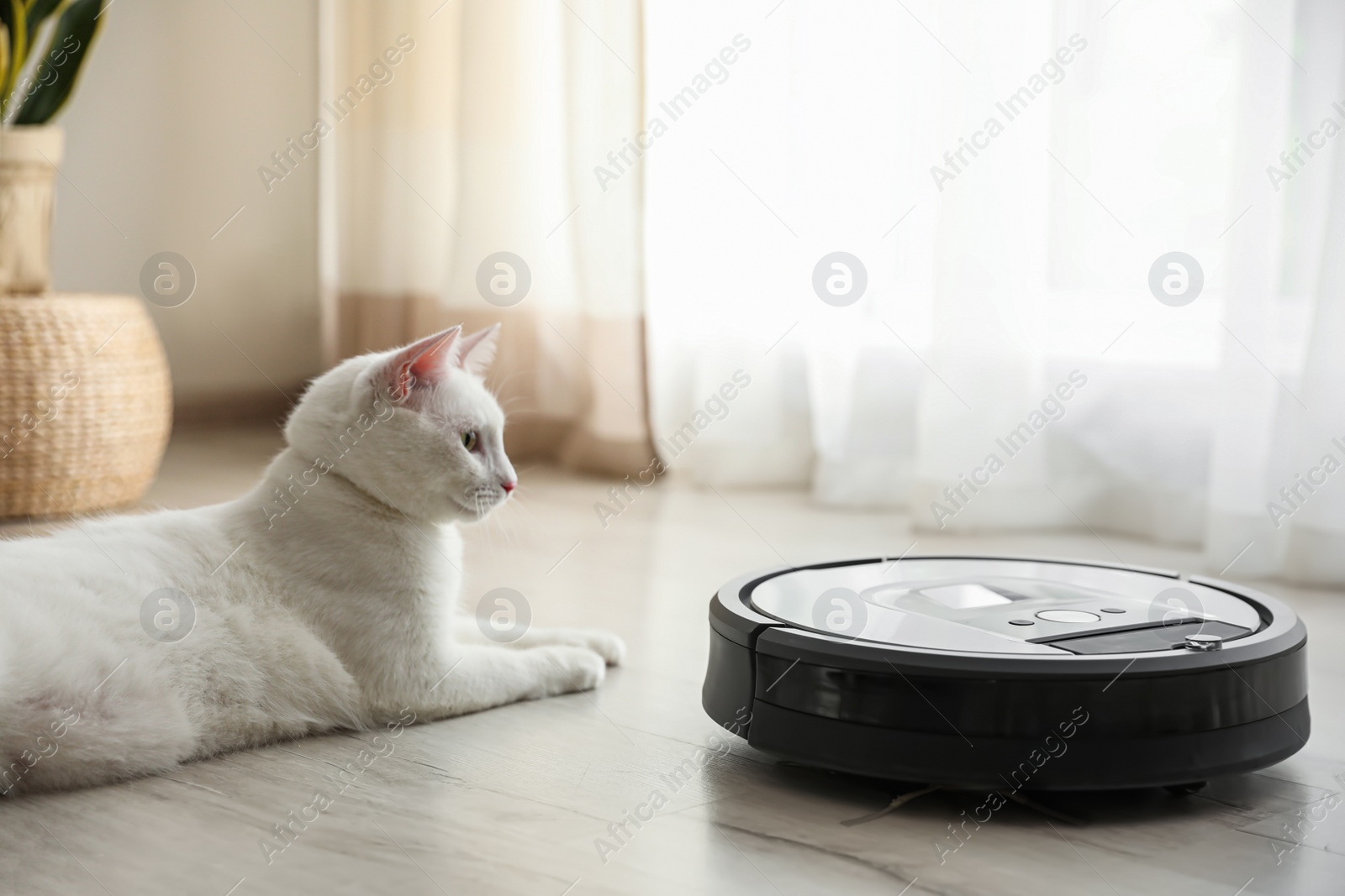 Photo of Modern robotic vacuum cleaner and cute cat on floor indoors