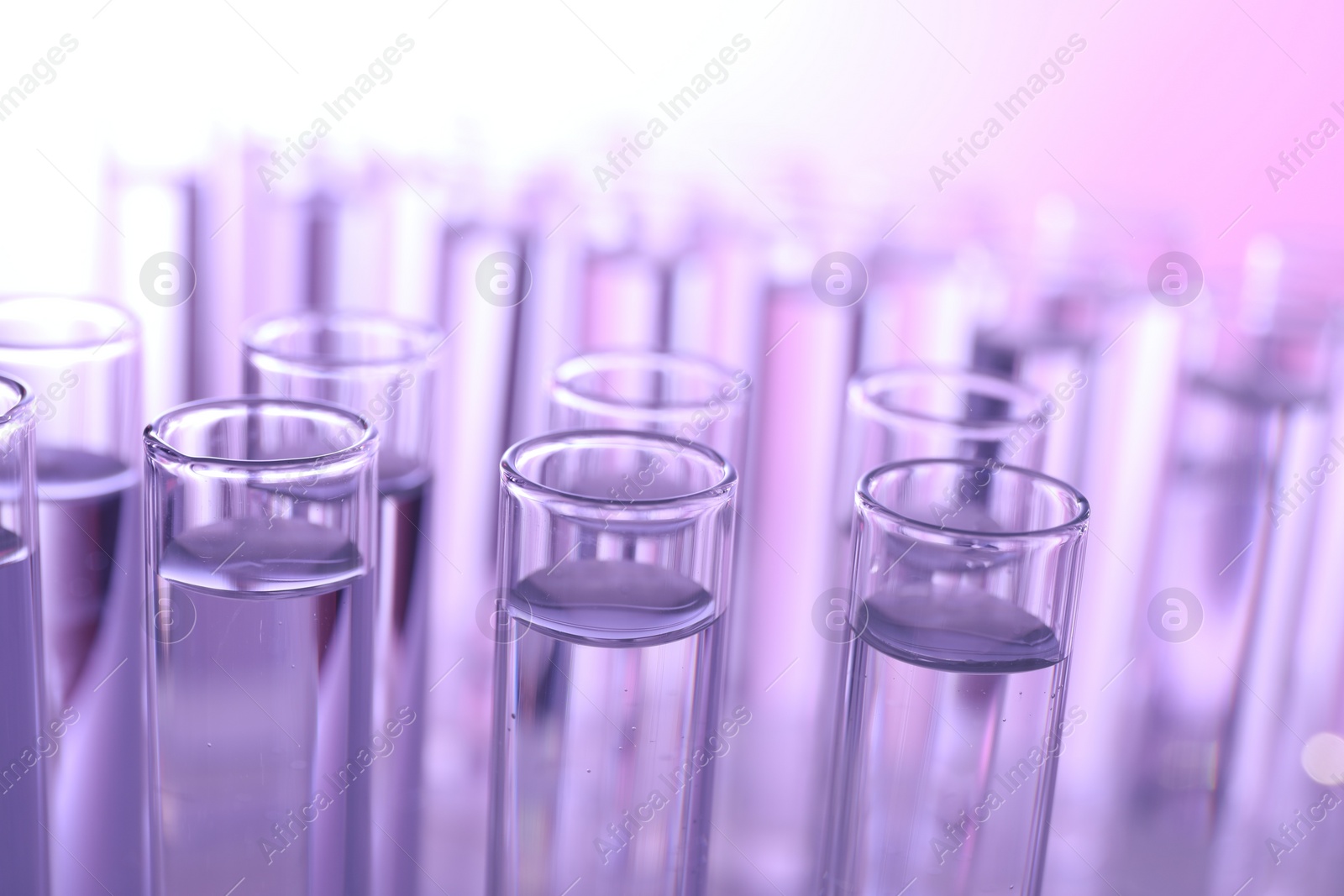 Photo of Many glass test tubes on violet background, closeup