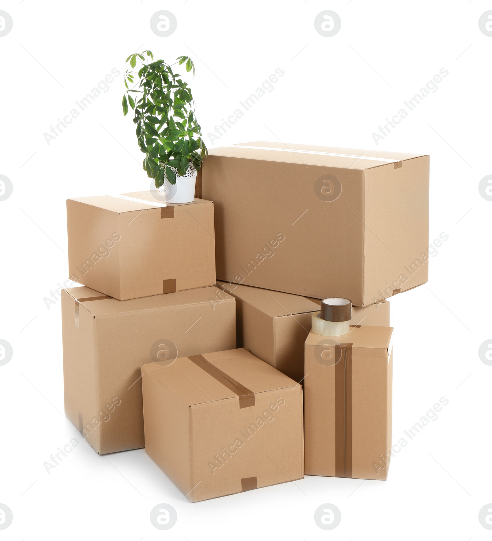 Photo of Cardboard boxes and houseplant on white background. Moving day