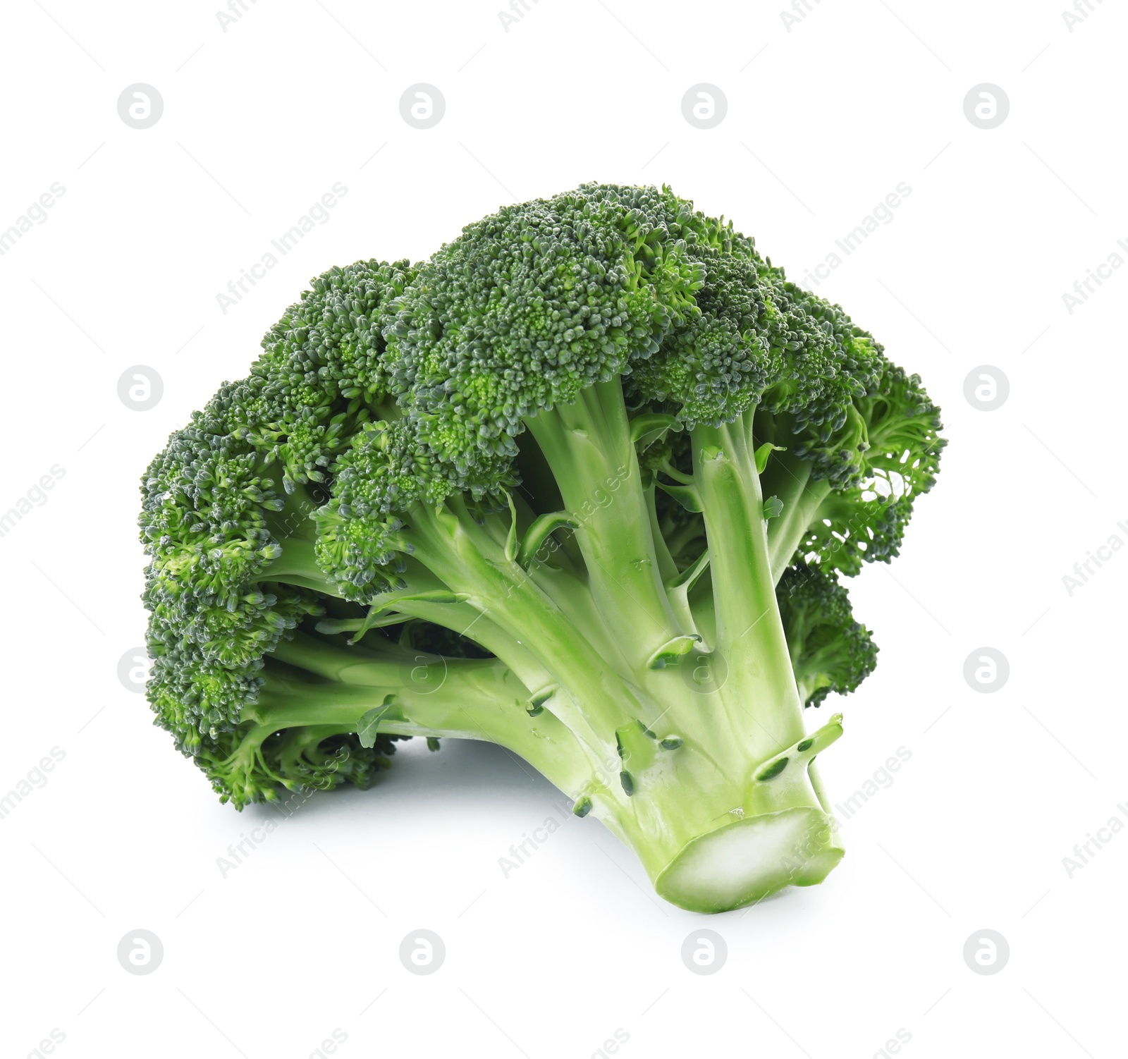 Photo of Fresh broccoli isolated on white. Edible green plant