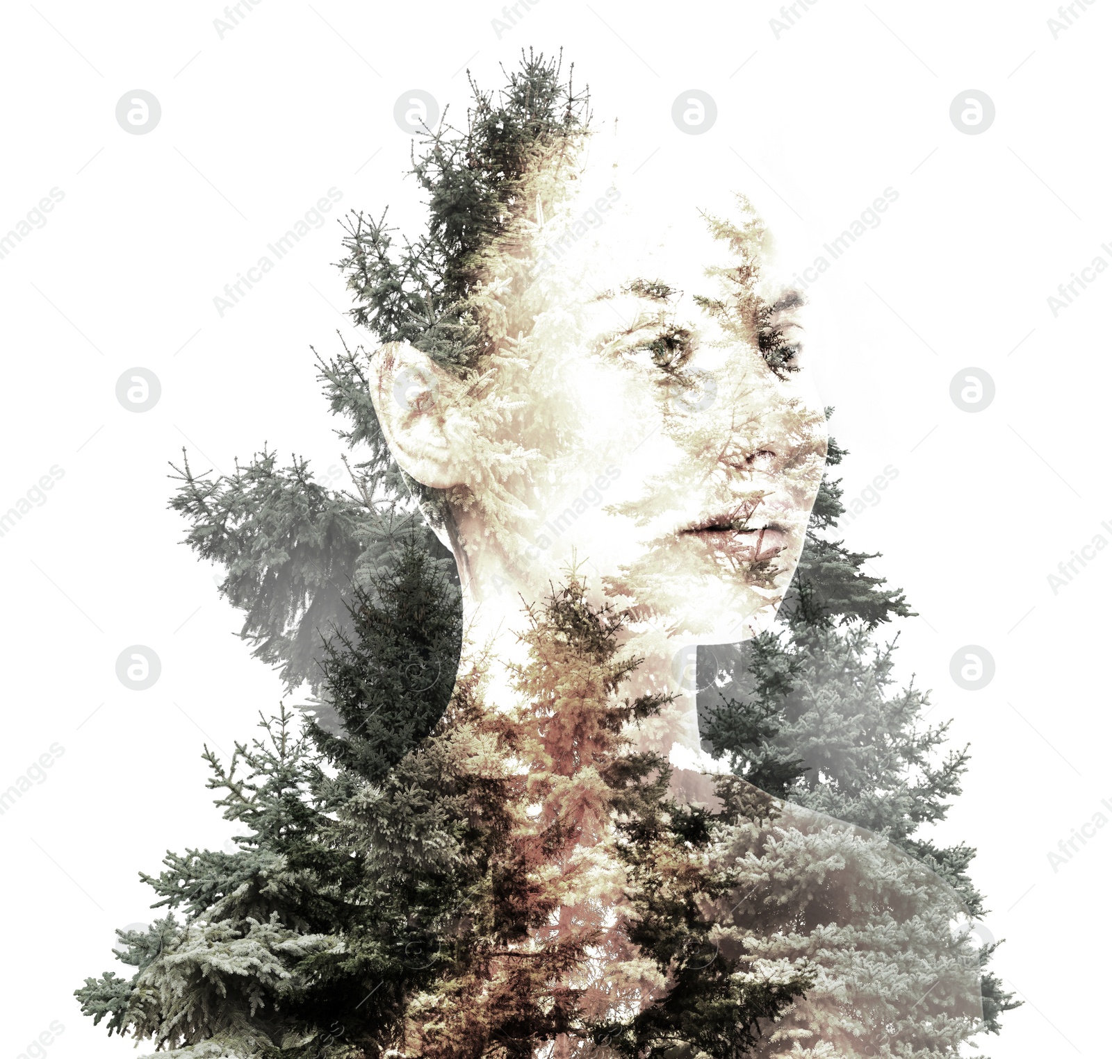 Image of Double exposure of beautiful woman and fir trees
