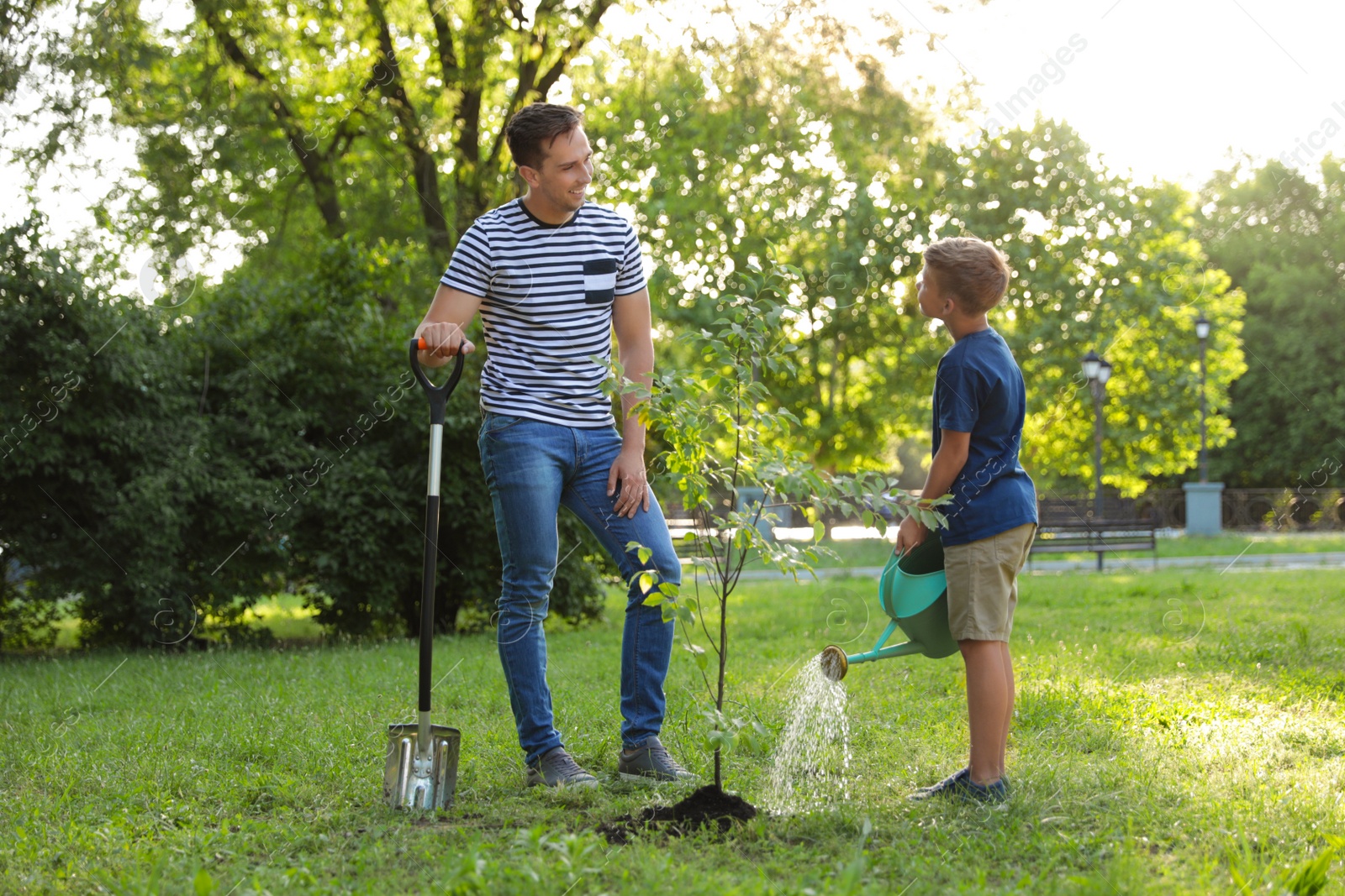 Photo of Dad and son watering tree in park on sunny day