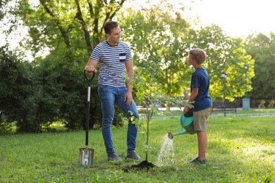 Dad and son watering tree in park on sunny day