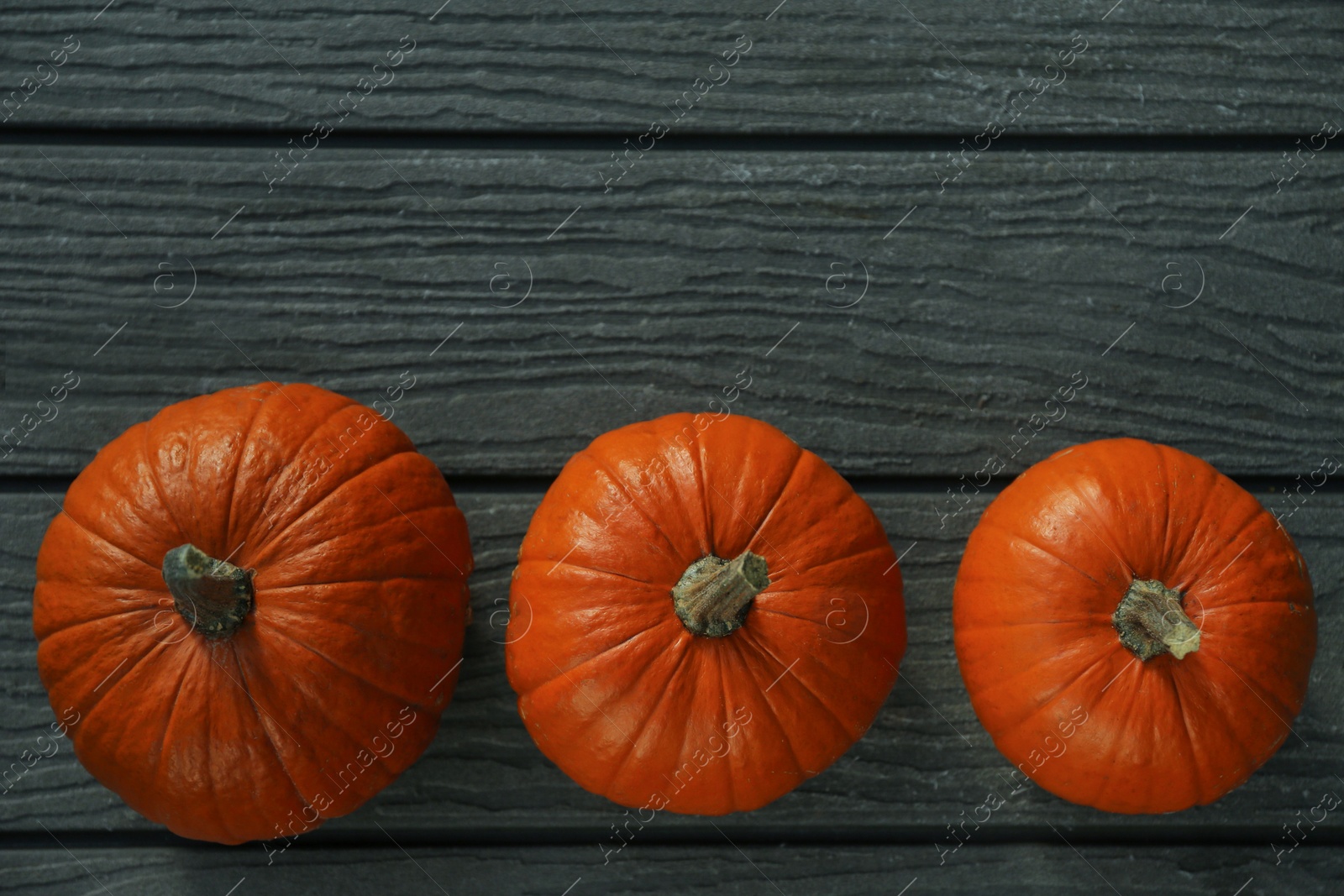 Photo of Many whole ripe pumpkins on wooden table, flat lay. Space for text