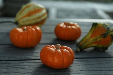 Photo of Many different pumpkins on wooden table outdoors