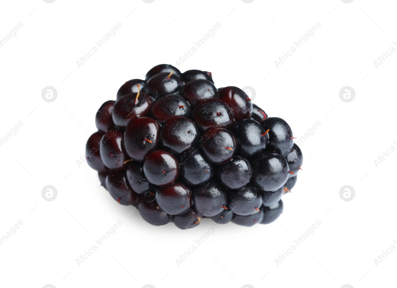 Photo of One tasty ripe blackberry isolated on white