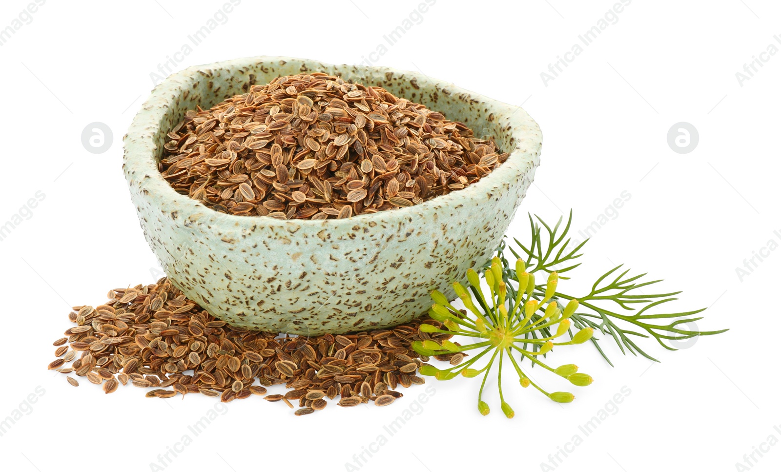 Photo of Bowl of dry seeds and fresh dill isolated on white