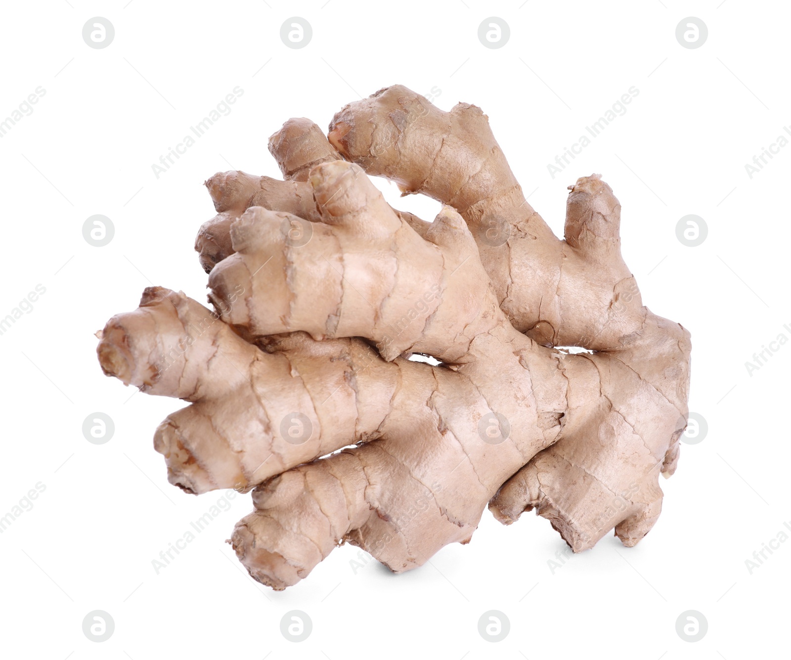 Photo of Whole fresh ginger root isolated on white