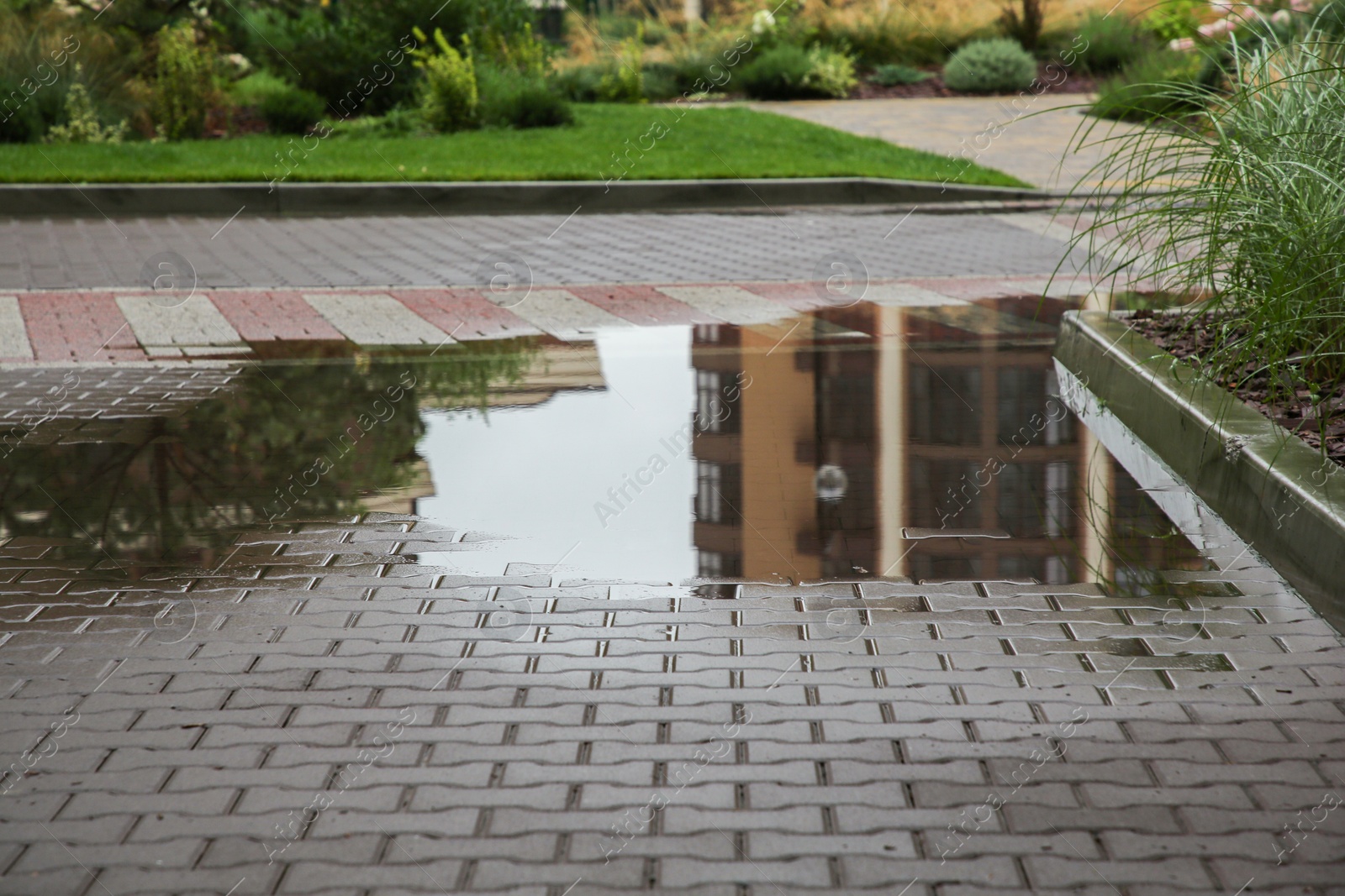 Photo of Puddle after rain on street tiles outdoors