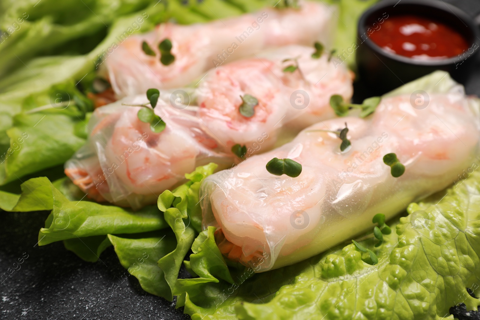 Photo of Tasty spring rolls served with lettuce and microgreens on grey textured table, closeup