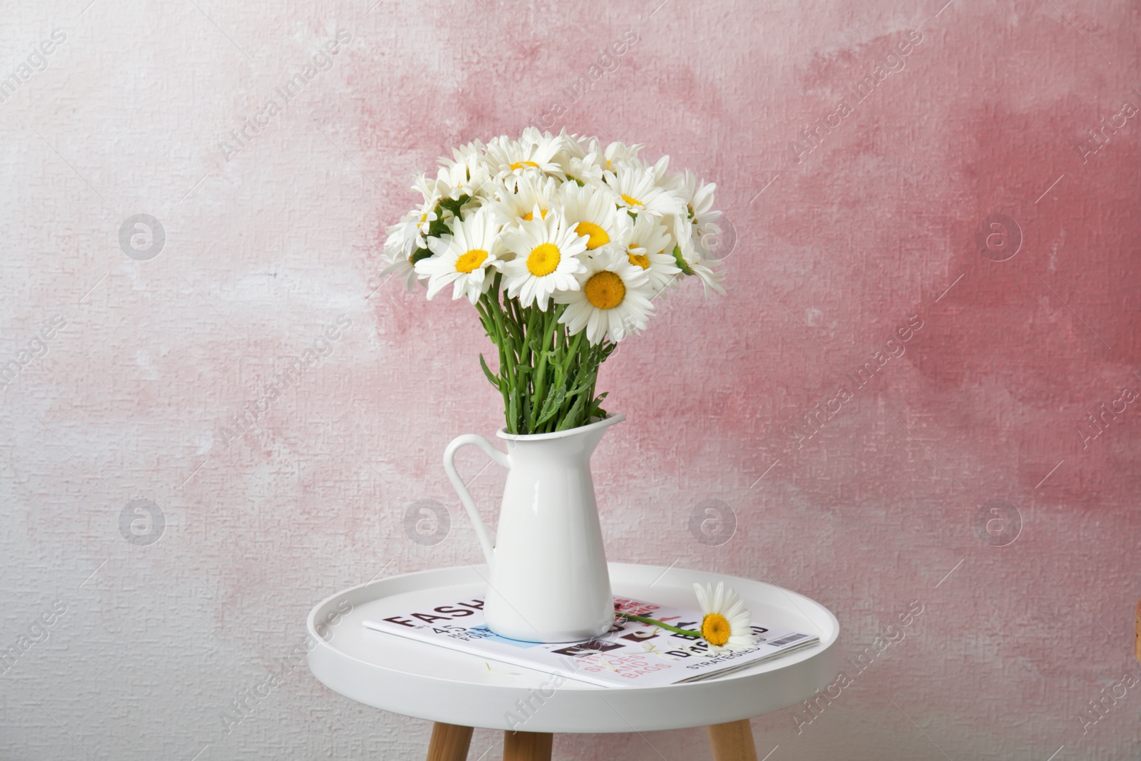 Photo of Jug with beautiful chamomile flowers on table against color background