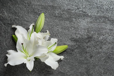 Image of Beautiful lily flowers on grey stone background, top view. Space for text