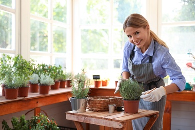 Photo of Young woman taking care of home plants at wooden table in shop