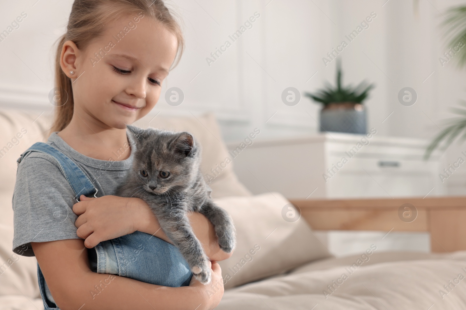 Photo of Cute little girl with kitten at home, space for text. Childhood pet