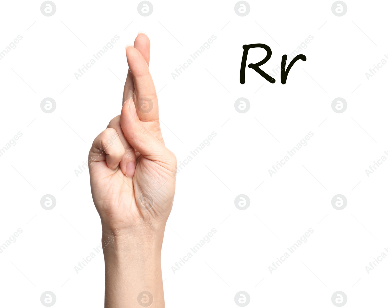 Image of Woman showing letter R on white background, closeup. Sign language