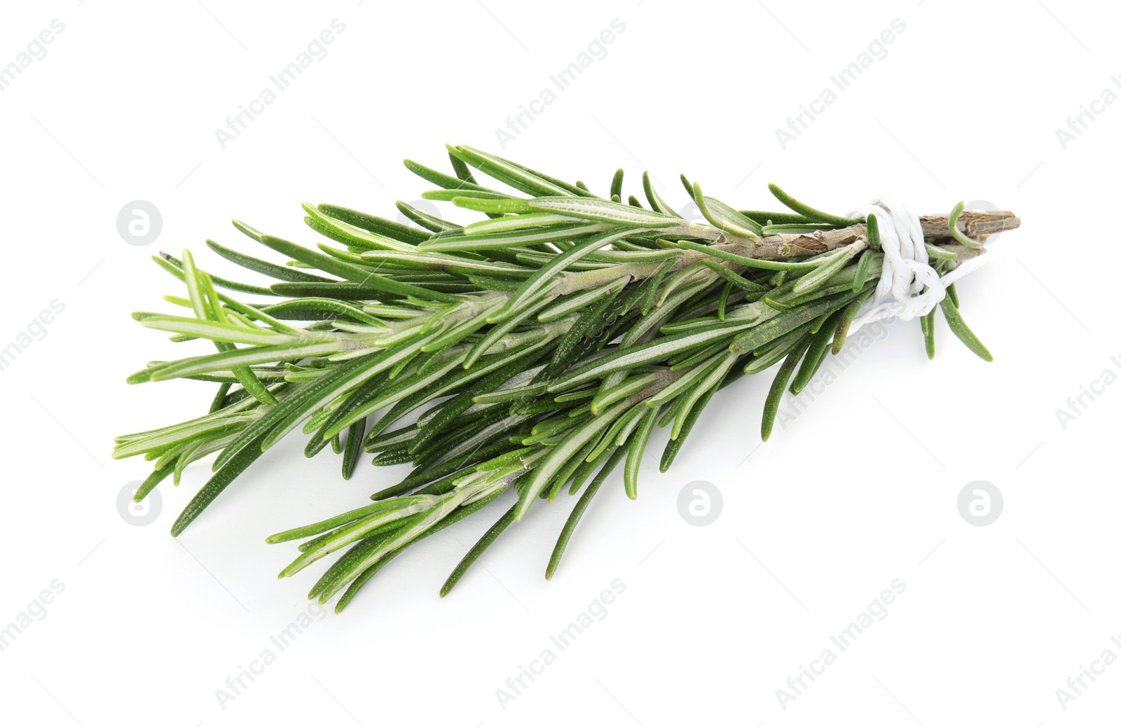 Photo of Bunch of fresh rosemary on white background