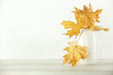 Photo of Beautiful autumn leaves in vase on table against white background, space for text
