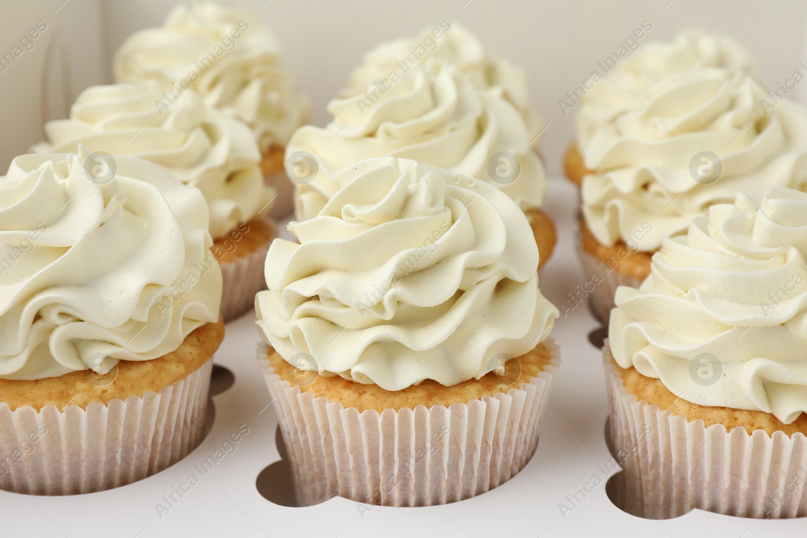 Photo of Tasty cupcakes with vanilla cream in box, closeup