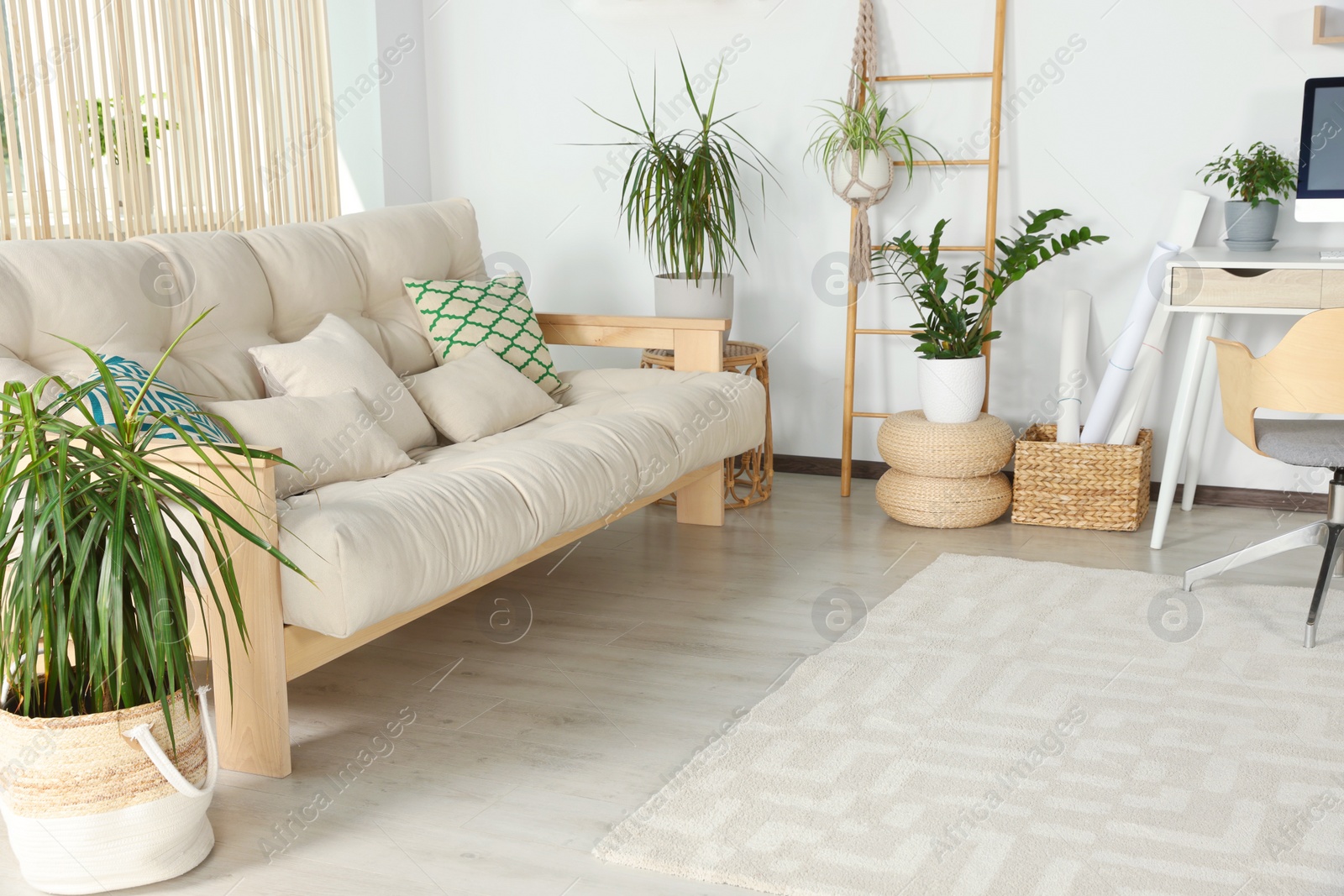 Photo of Stylish room interior with comfortable sofa and beautiful houseplants