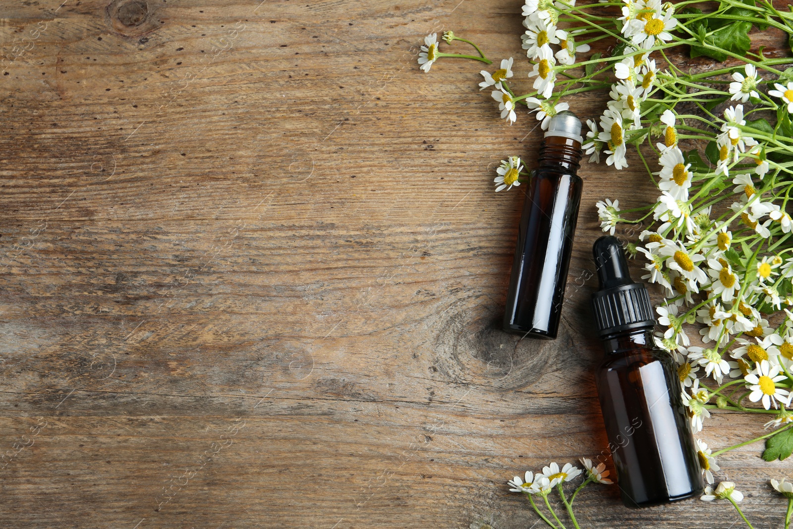 Photo of Bottles of essential oil and fresh chamomiles on wooden table, flat lay. Space for text